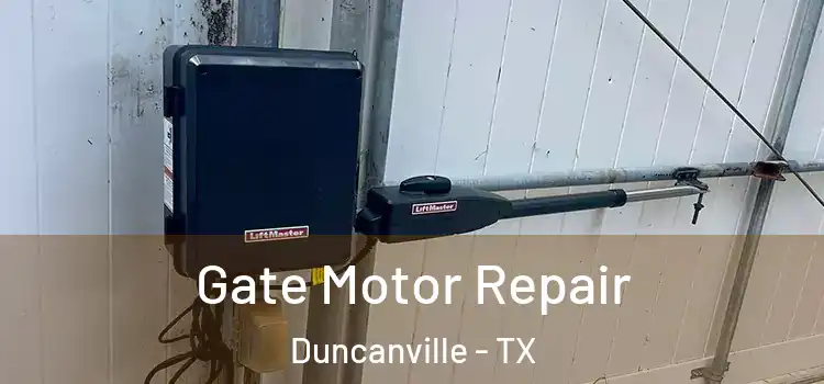 Gate Motor Repair Duncanville - TX